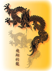 Soaring Dragon Image2 3